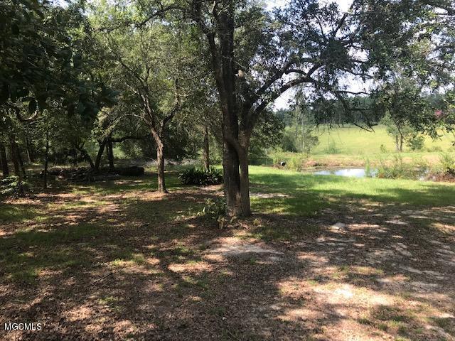 29318 West Dubuisson Road Pass Christian, MS 39571 - Photo 25 of 25 Edith4