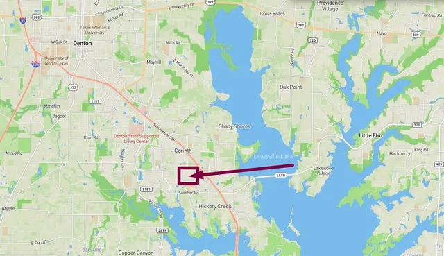 a white and has a bunch of flowers