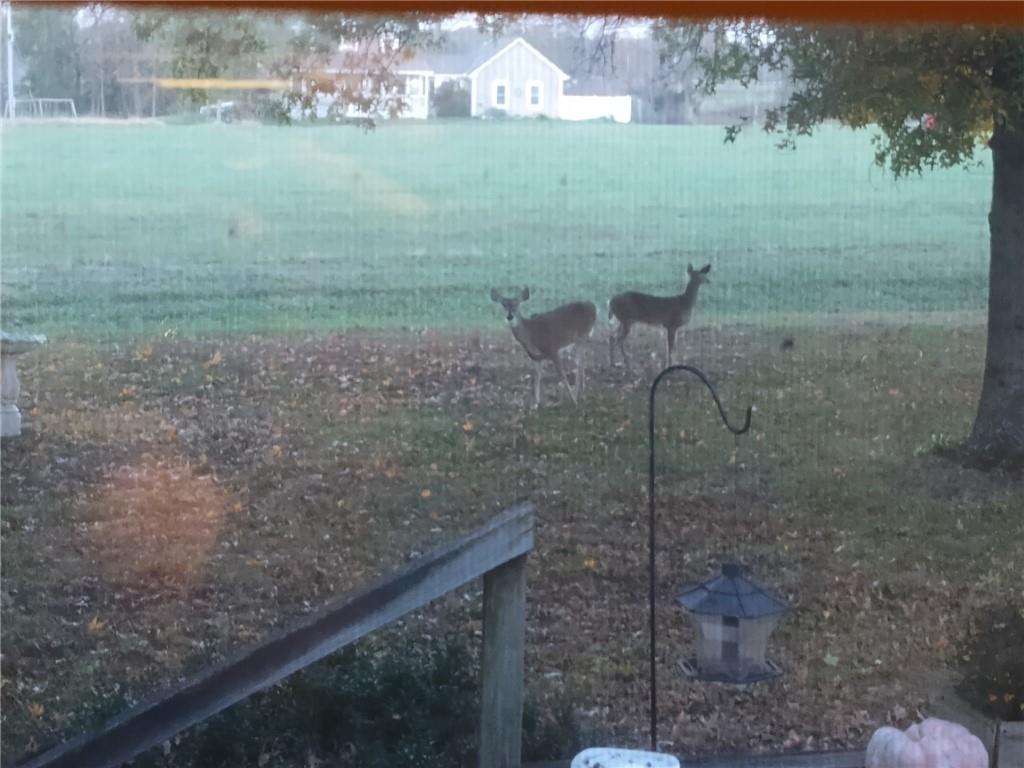 75 Northwest 1501st Road Holden, MO 64040 - Photo 23 of 25