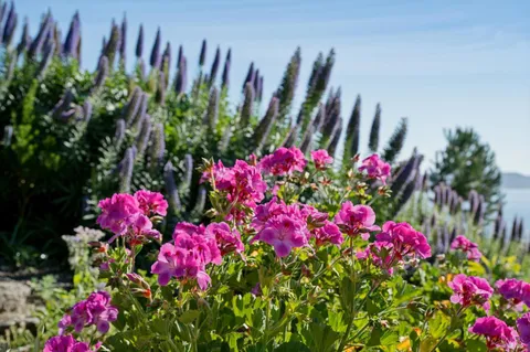 $1,890,000 | 435 Tremont Avenue, Point Richmond, CA 94801