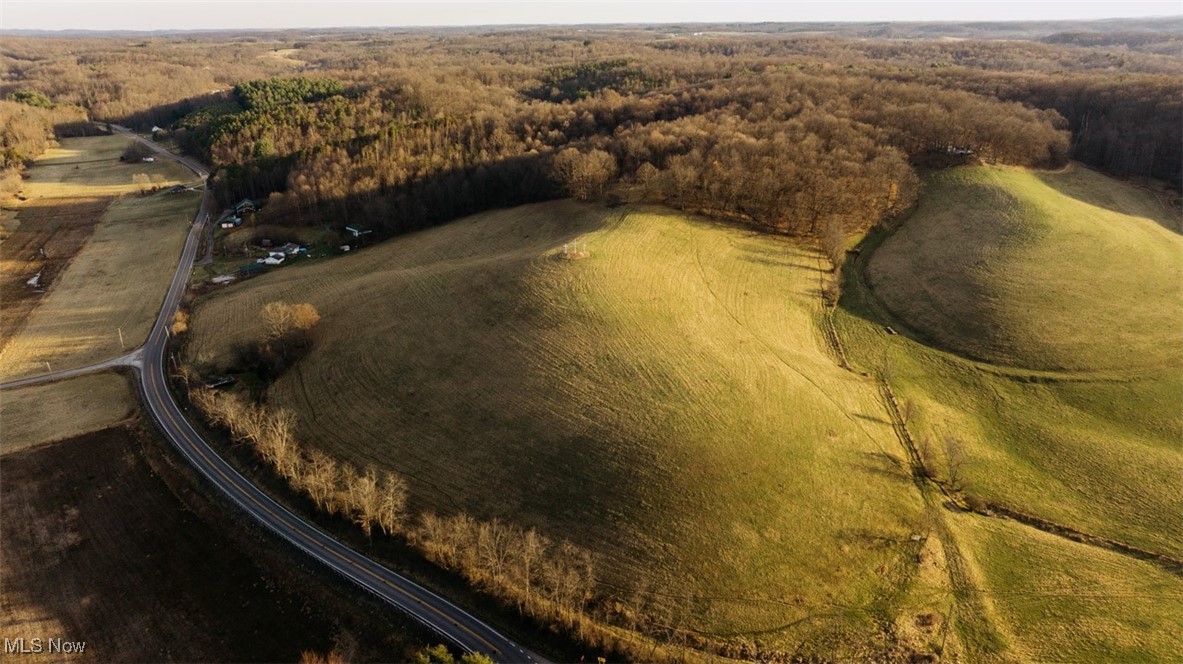 8091 Fargo Road Southwest Dellroy, OH 44620 - Photo 3 of 29 Drone / aerial view with a view of trees