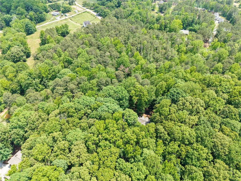 301 Benson Road Dallas, GA 30132 - Photo 53 of 56