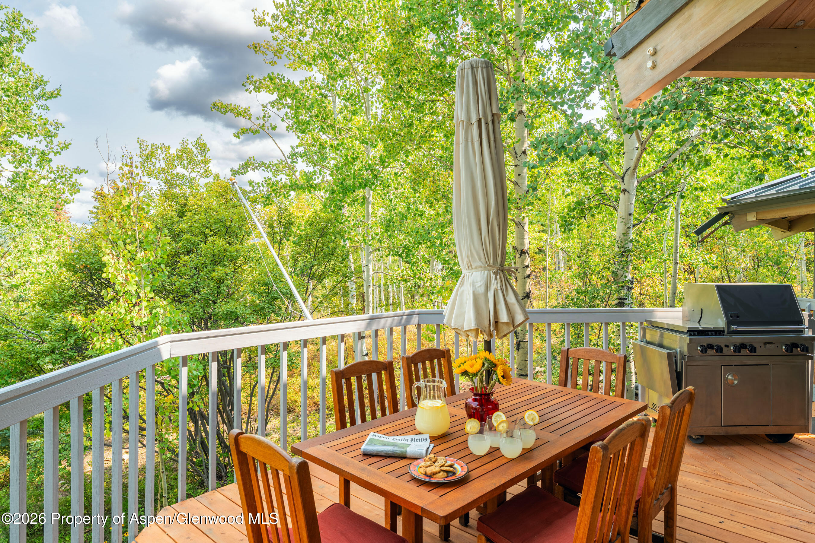 239 Antler Ridge Lane Snowmass Village, CO 81615 - Photo 24 of 33 Dining Deck