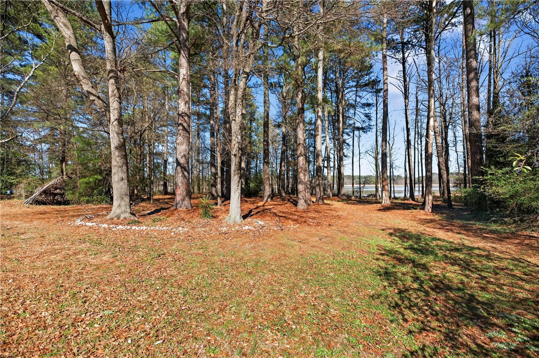 3400 Old Dobbins Bridge Road Fair Play, SC 29643 - Photo 23 of 50 Back yard