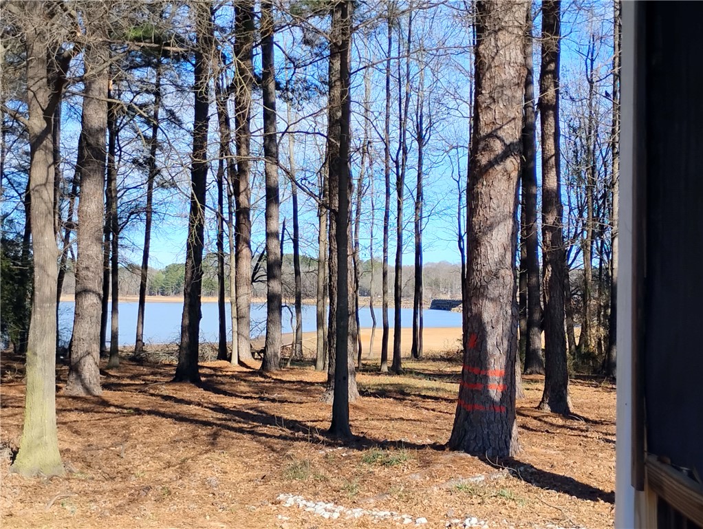 3400 Old Dobbins Bridge Road Fair Play, SC 29643 - Photo 24 of 50 This tranquil waterfront property offers serene views amidst natural surroundings.