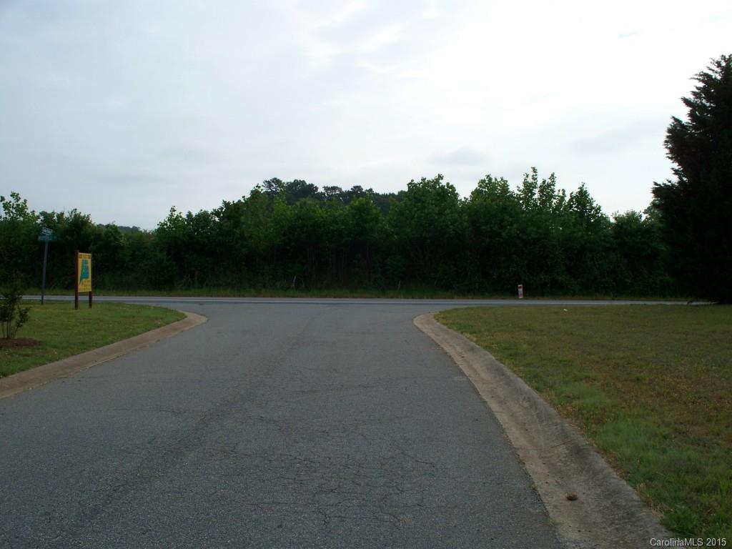 0 Ridge Run Lane, Unit 16 Vale, NC 28168 - Photo 2 of 6 Gallery Image 2