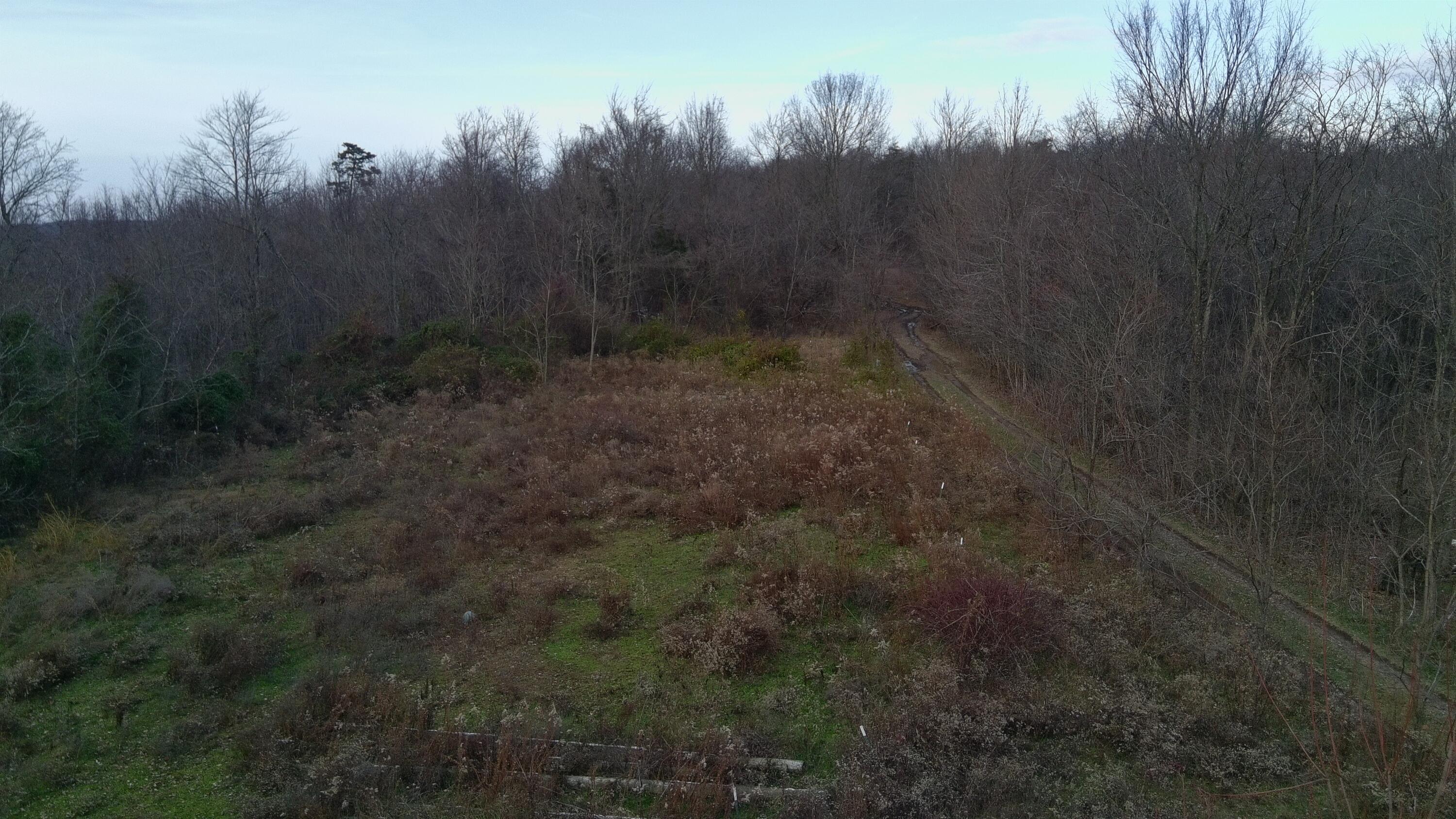 2107 Beekman Ridge Road Peebles, OH 45660 - Photo 5 of 13 4825078_100DRONE_SING0490