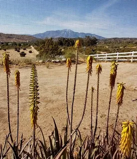 $369,500 | 10505 Hess Boulevard, Morongo Valley, CA 92256