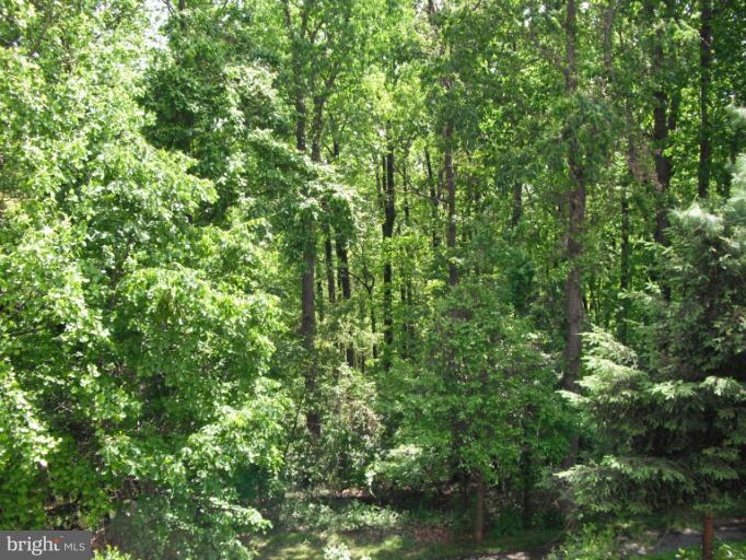 12330 Rosslare Ridge Road, Unit 106 Lutherville-Timonium, MD 21093 - Photo 12 of 16 View From Rear Balcony