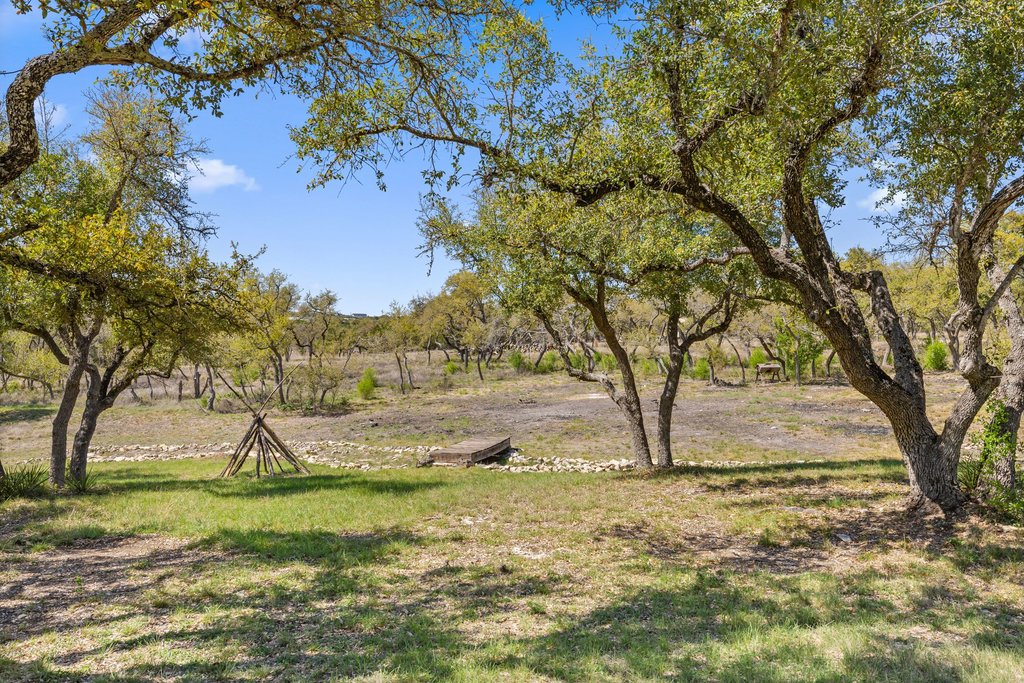 290 Sunset Ridge Dripping Springs, TX 78620 - Photo 24 of 39 a view of a tree next to a yard