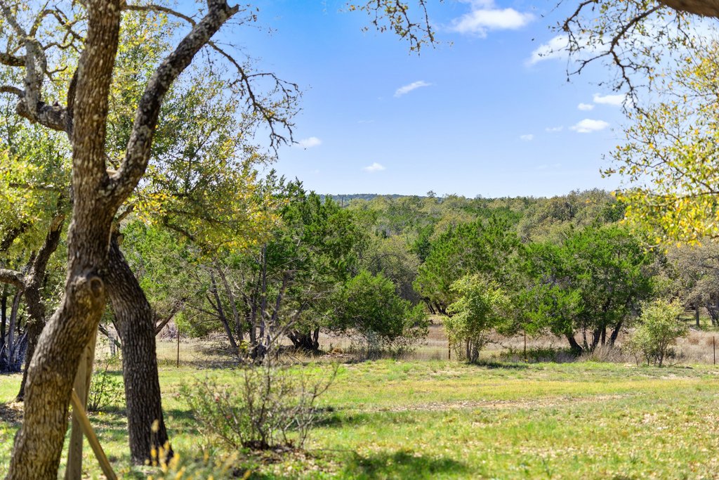 290 Sunset Ridge Dripping Springs, TX 78620 - Photo 26 of 39 a view of a yard with a tree