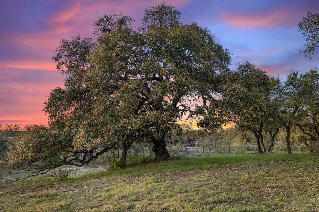 290 Sunset Ridge Dripping Springs, TX 78620 - Photo 35 of 39 View of green lawn