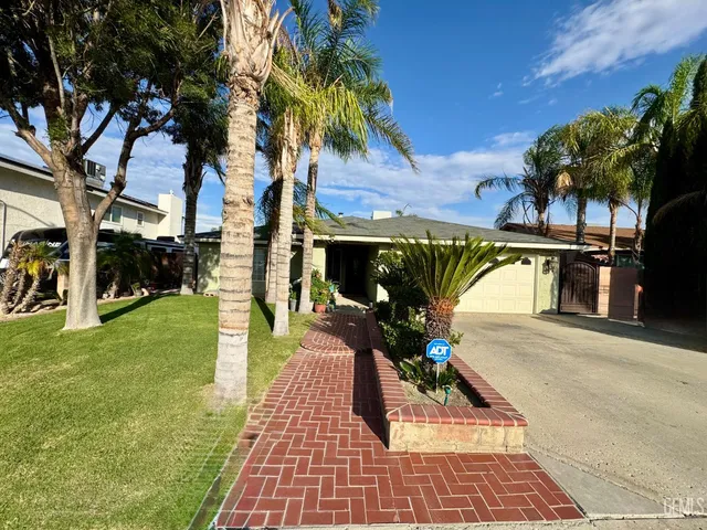 a view of a yard with plants