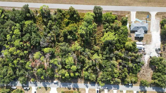 a view of a bunch of plants and trees