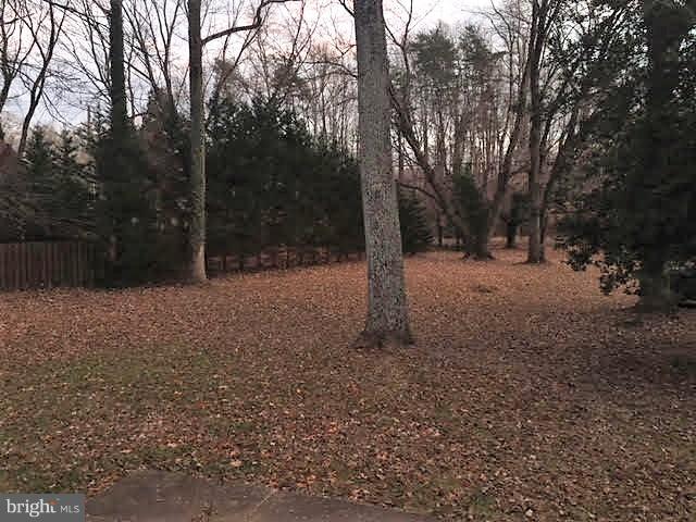 147 Morton Road Fredericksburg, VA 22405 - Photo 9 of 11 a backyard of a house with lots of green space