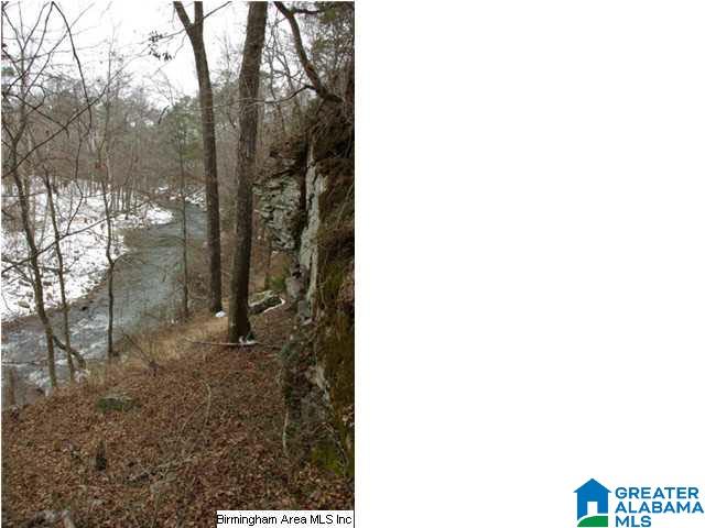33 County Road, Unit 48 Oneonta, AL 35121 - Photo 20 of 33