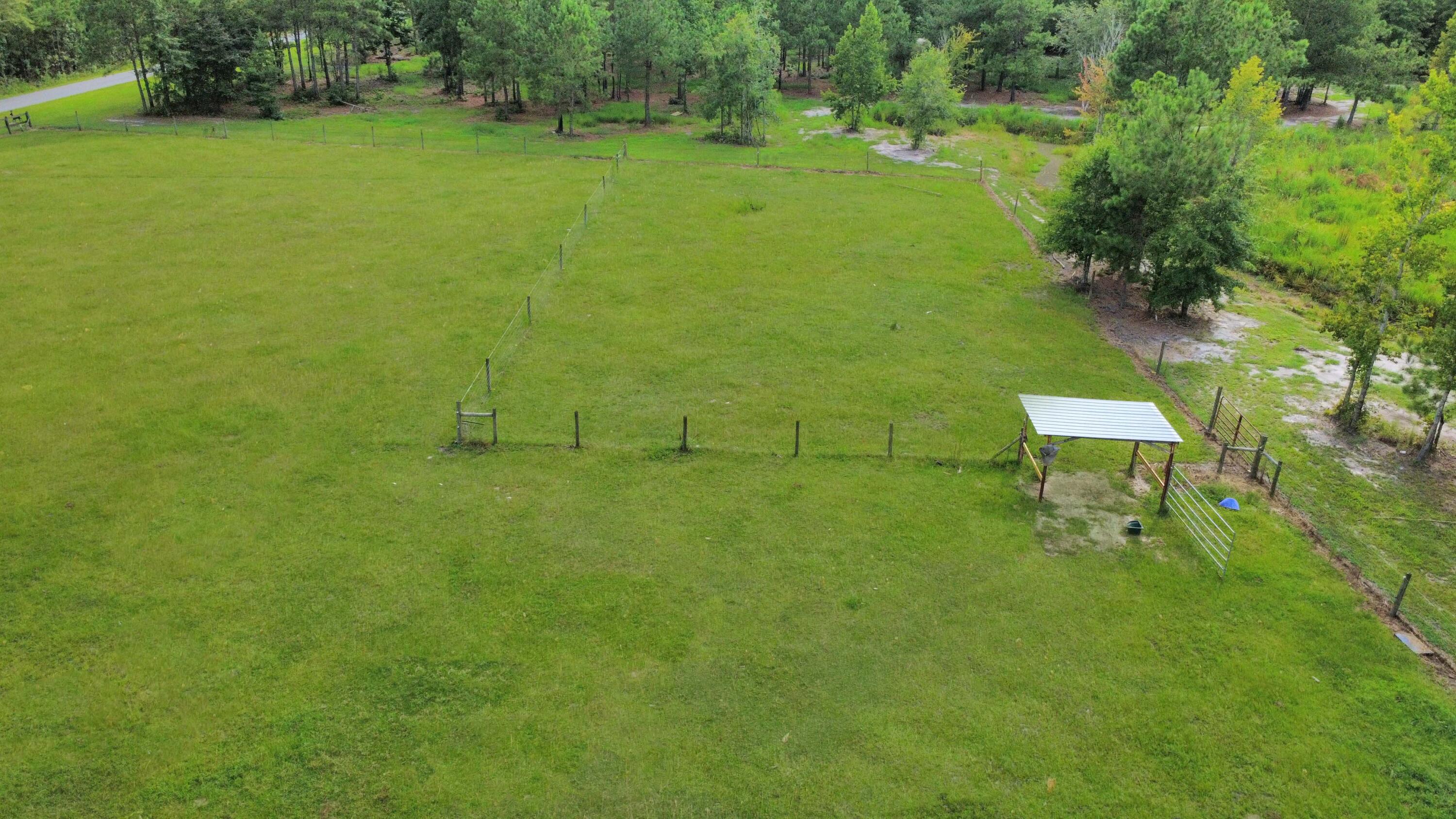 151 Grannys Lane St. George, SC 29477 - Photo 31 of 35 Gdronepasture