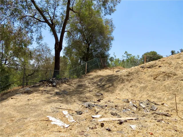 a view of a yard with a tree