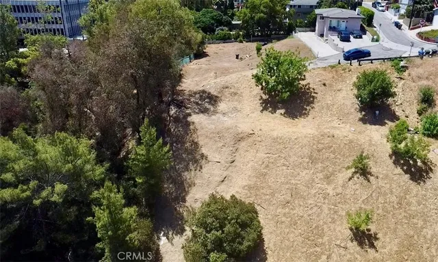 a view of a yard with plants