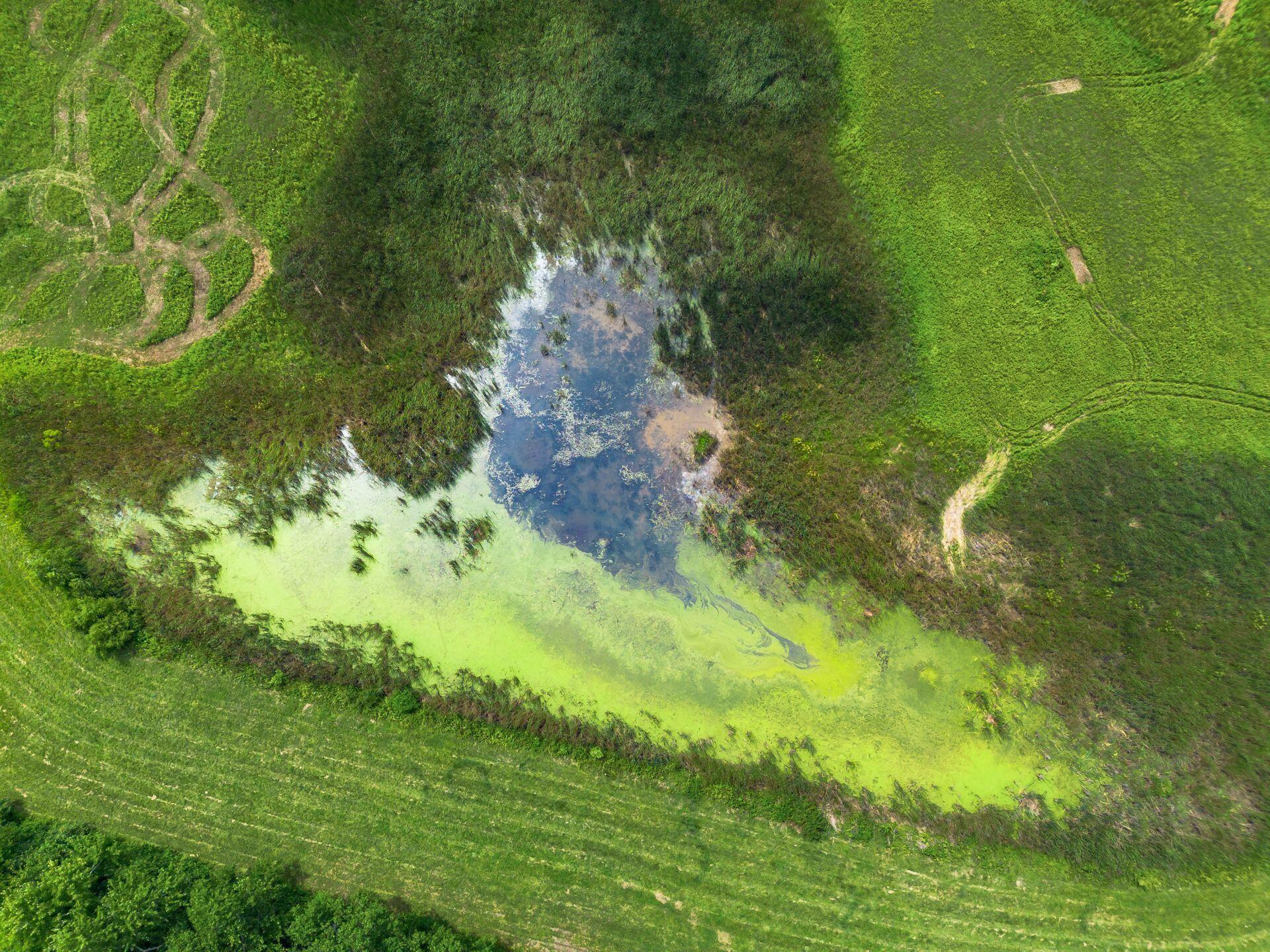 22100 Johnson Road Raymond, OH 43067 - Photo 19 of 33 wetlands