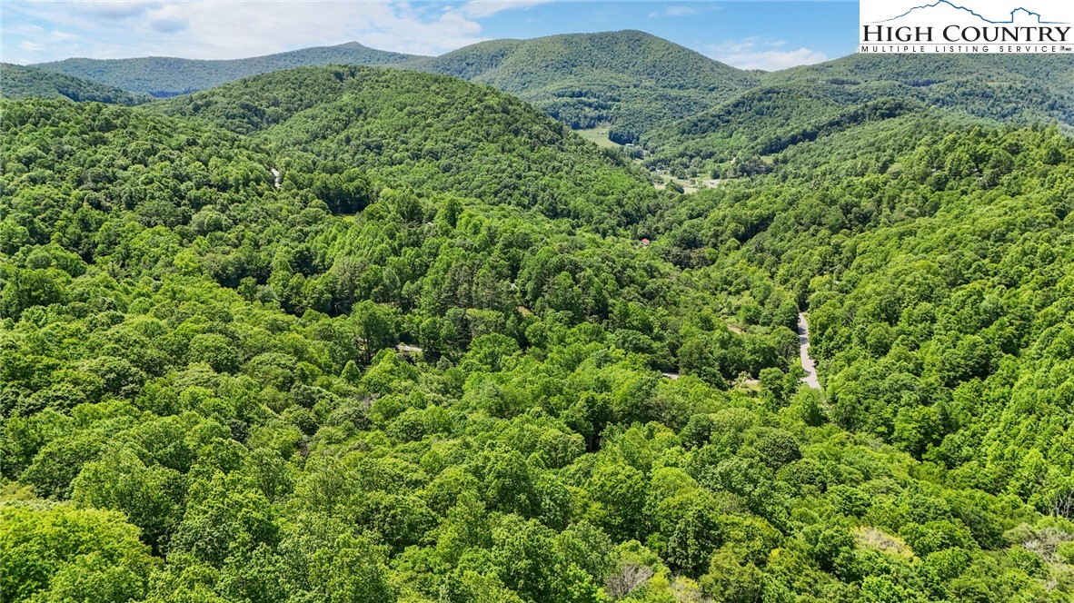 T-1 Grace Mountain Road Todd, NC 28684 - Photo 11 of 28 a view of a lush green forest with a mountain in the background