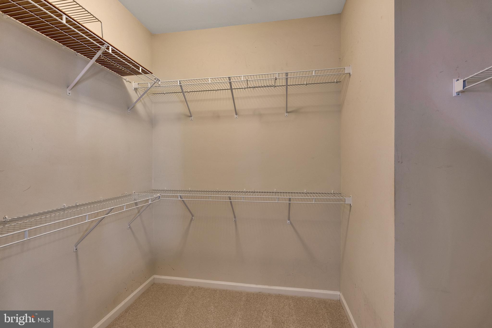 575 Prizer Court Downingtown, PA 19335 - Photo 24 of 30 Primary walk-in closet