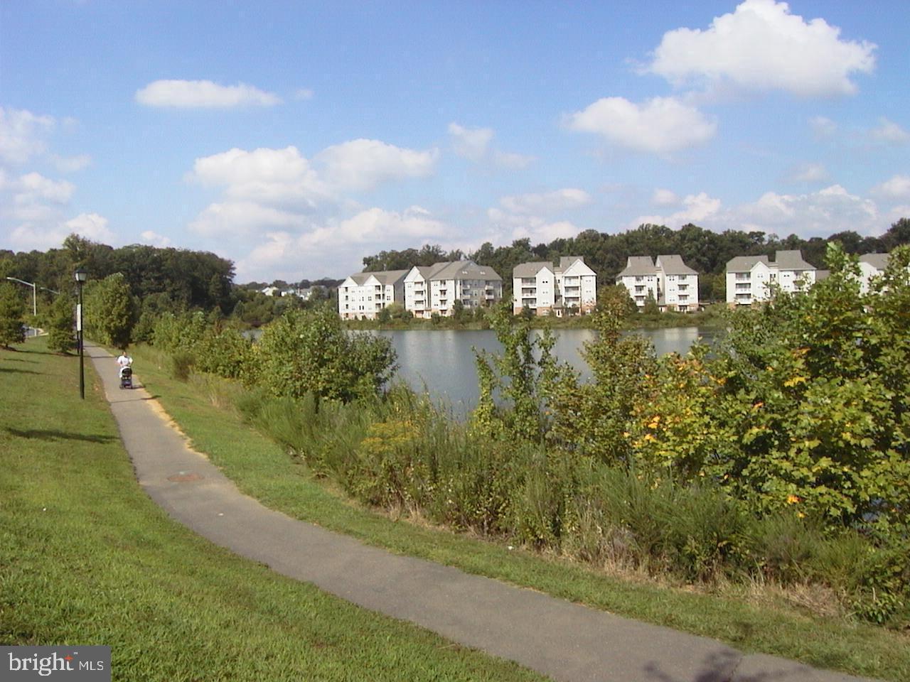 6934F Ellingham Circle Alexandria, VA 22315 - Photo 30 of 34 a view of a lake with a big yard