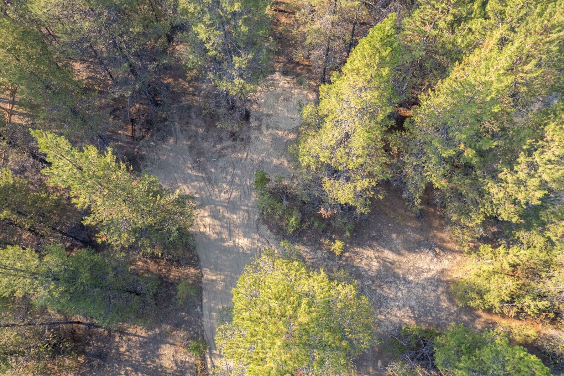batch_16115 Dyke Rd-Drone-Low-Res-11