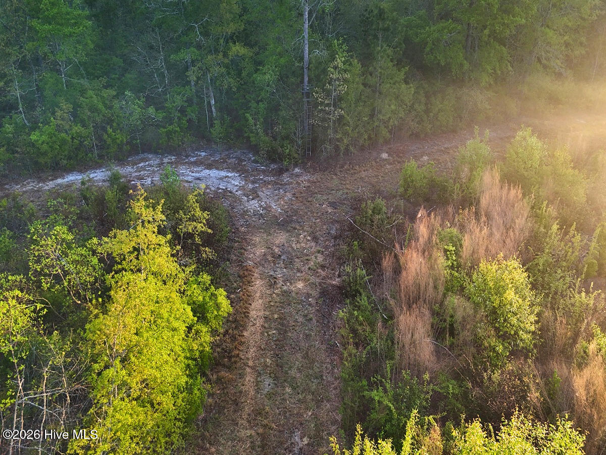 0 Durwood Evans Road Beulaville, NC 28518 - Photo 36 of 68 36.