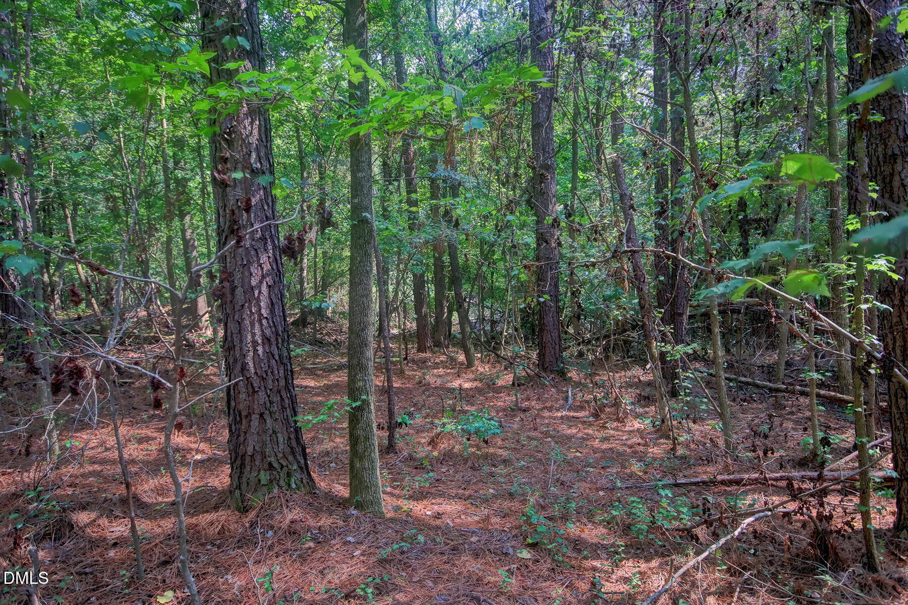 0 Rumley Road Graham, NC 27253 - Photo 4 of 5 Lot 1-B interior