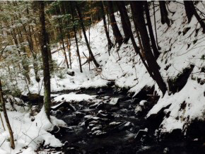 0 Lovers Ln Road Chester, VT 05143 - Photo 21 of 38