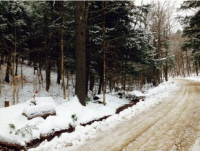 0 Lovers Ln Road Chester, VT 05143 - Photo 22 of 38