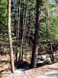 0 Lovers Ln Road Chester, VT 05143 - Photo 28 of 38