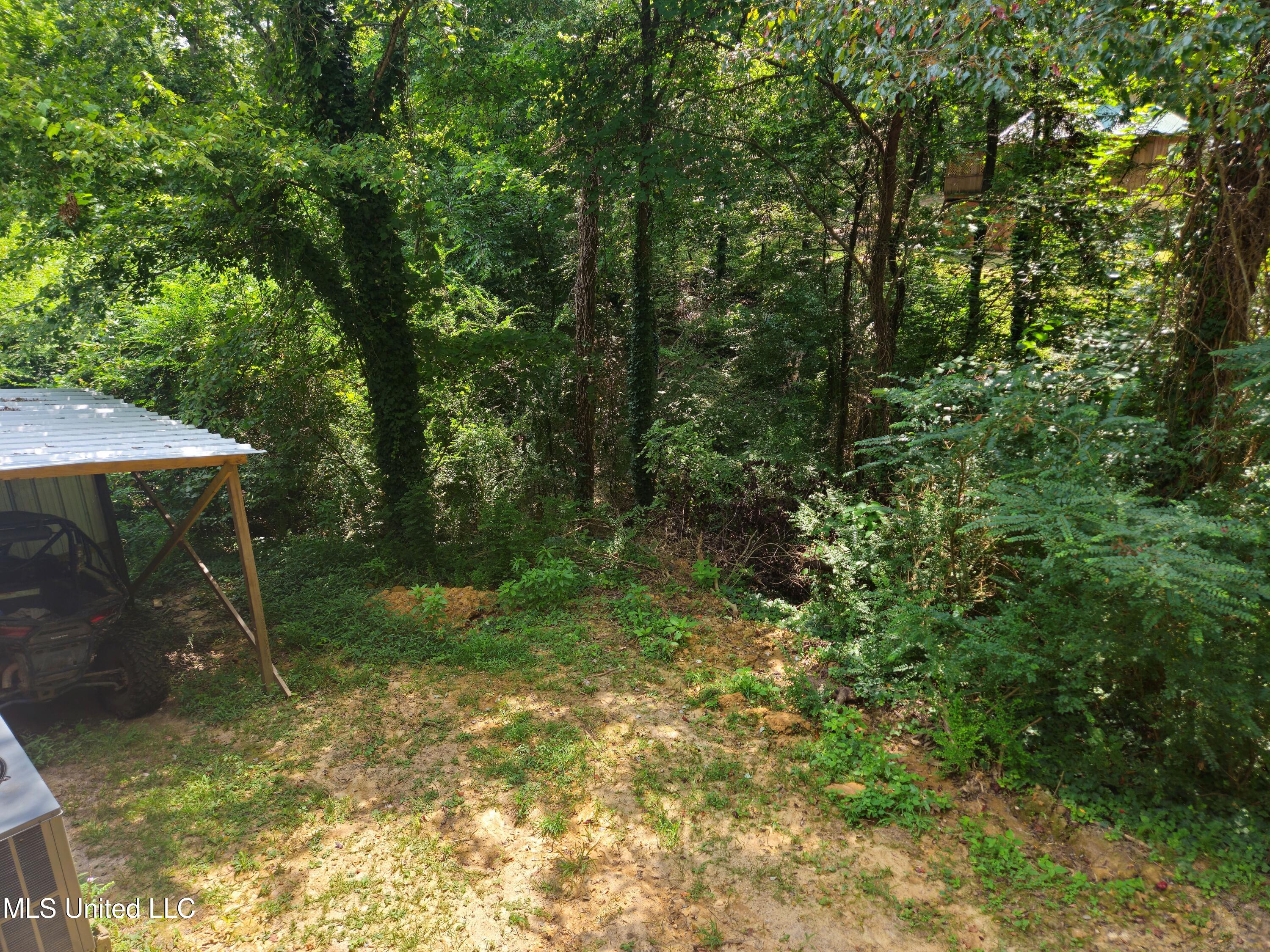 142 Mosley Drive Pope, MS 38658 - Photo 21 of 25 142 Mosley (8)