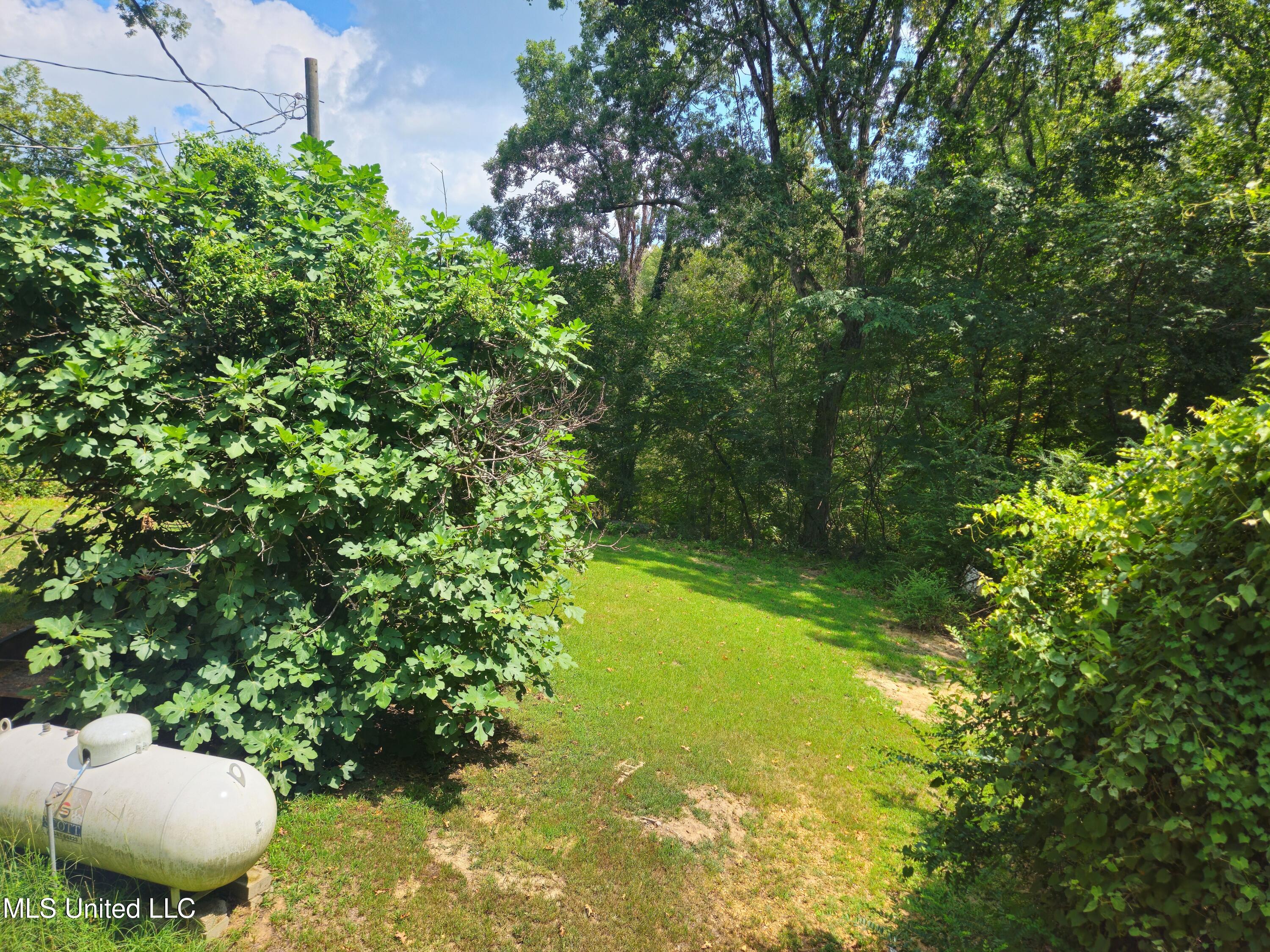 142 Mosley Drive Pope, MS 38658 - Photo 24 of 25 142 Mosley (12)