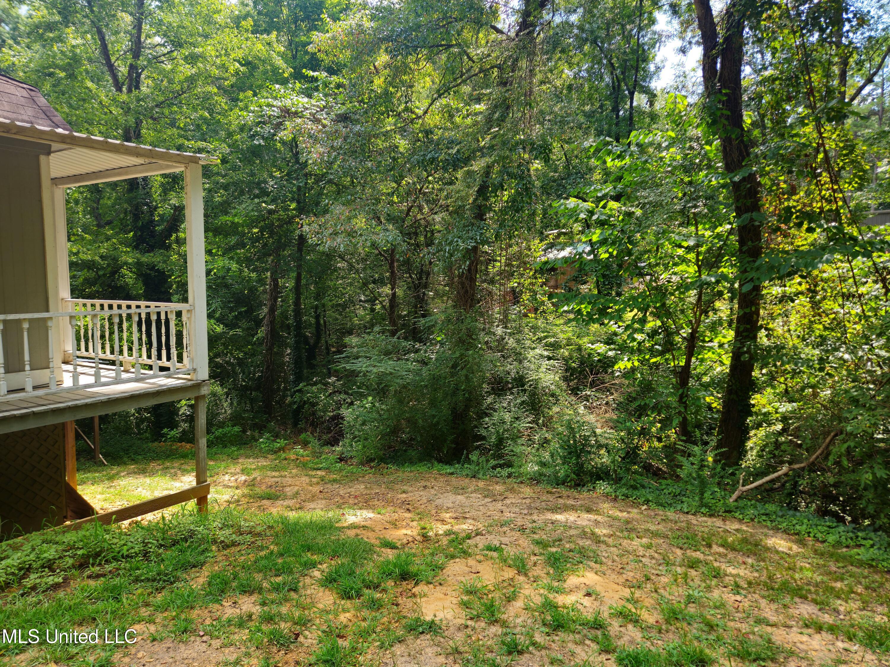 142 Mosley Drive Pope, MS 38658 - Photo 4 of 25 142 Mosley (3)