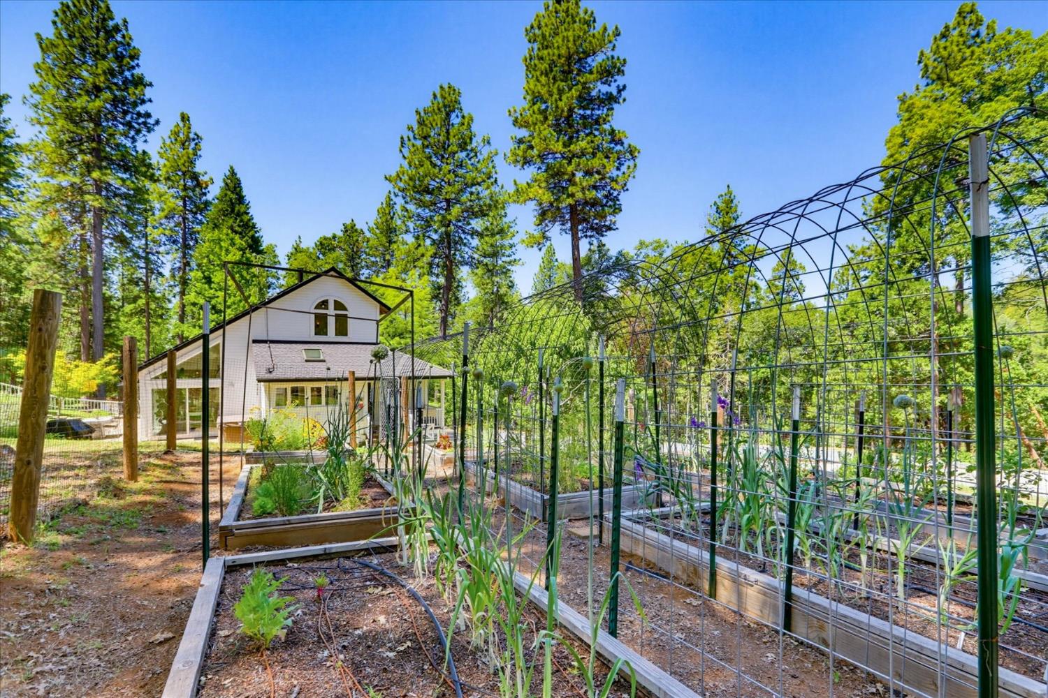 14381 Sunrock Road Nevada City, CA 95959 - Photo 68 of 88