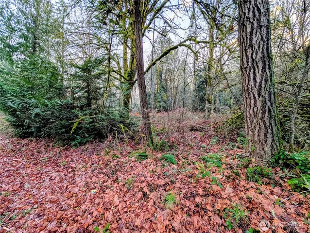 a view of statue in a garden