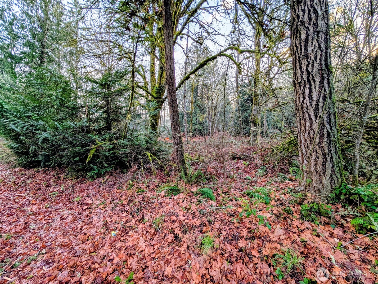 4010 Whiteman Road Southwest Lakebay, WA 98351 - Photo 4 of 21