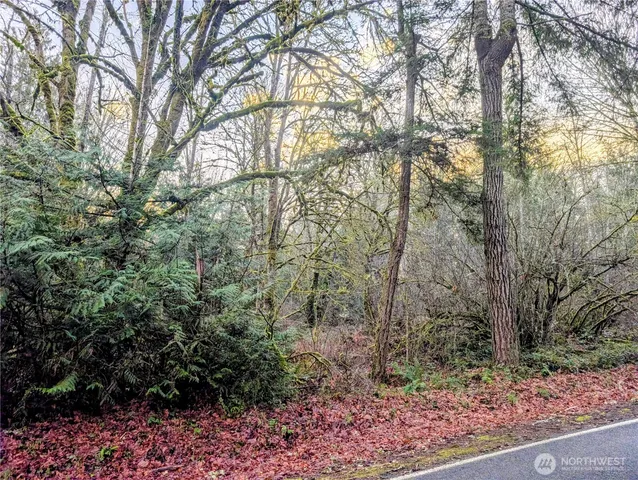 a view of a road from a window