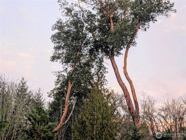 a close up view of bath tub