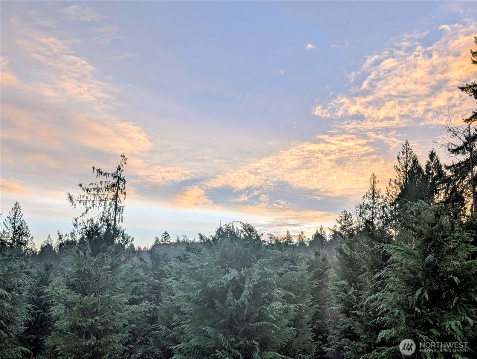 4010 Whiteman Road Southwest Lakebay, WA 98351 - Photo 9 of 21