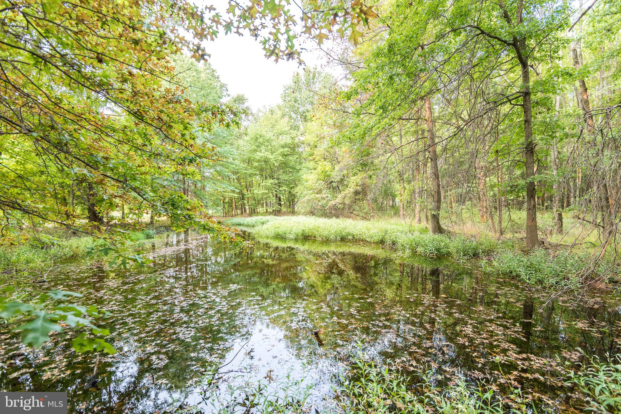 218 North Ridge Road Perkasie, PA 18944 - Photo 19 of 28 Pond