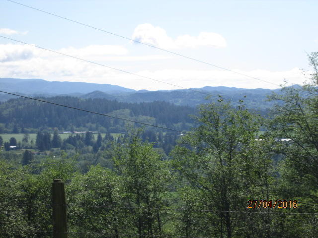 905 Blue Spruce Ridge Way Tillamook, OR 97141 - Photo 5 of 16 IMG_8407