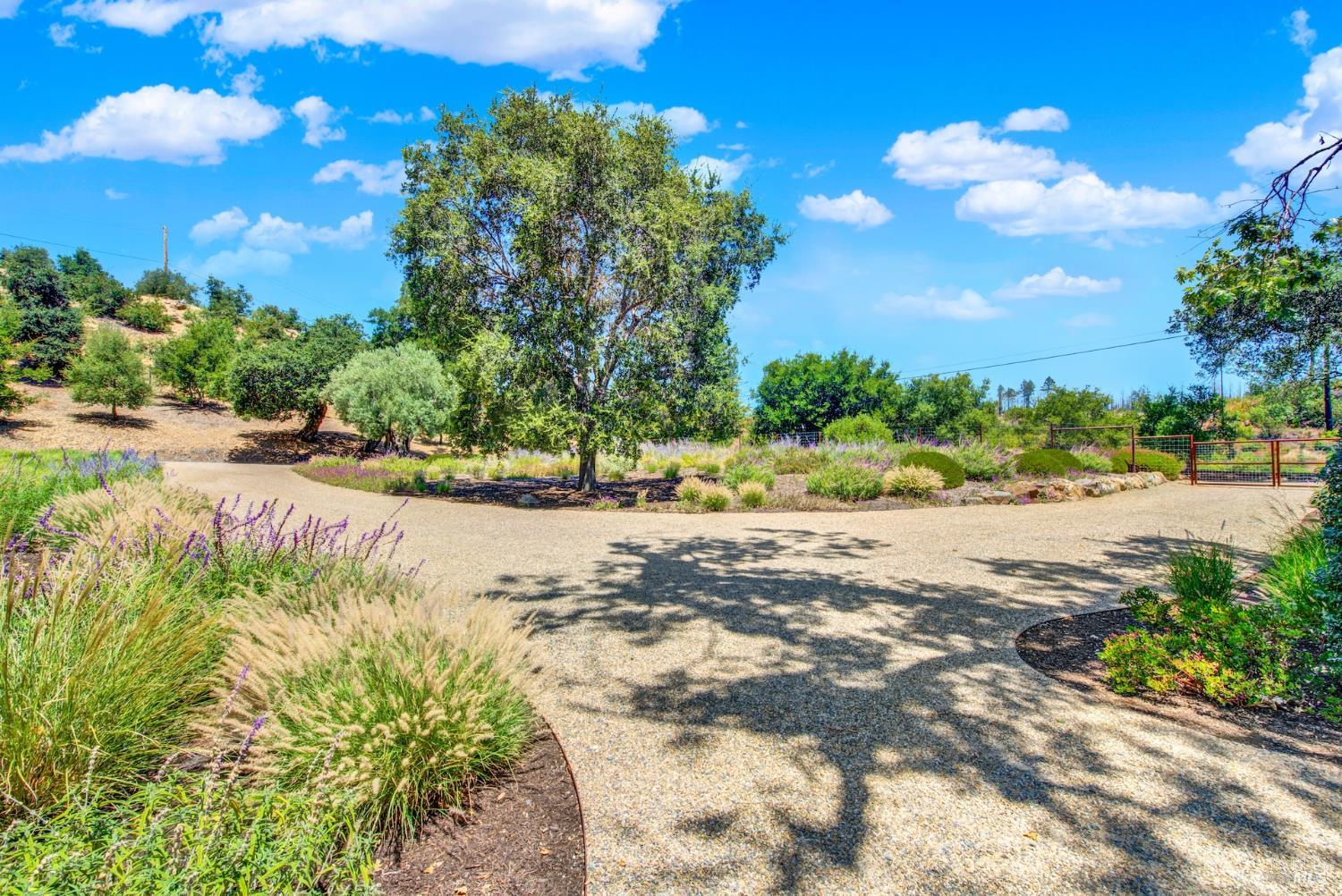 860 Meadowood Lane St. Helena, CA 94574 - Photo 66 of 74 Gallery Image 66