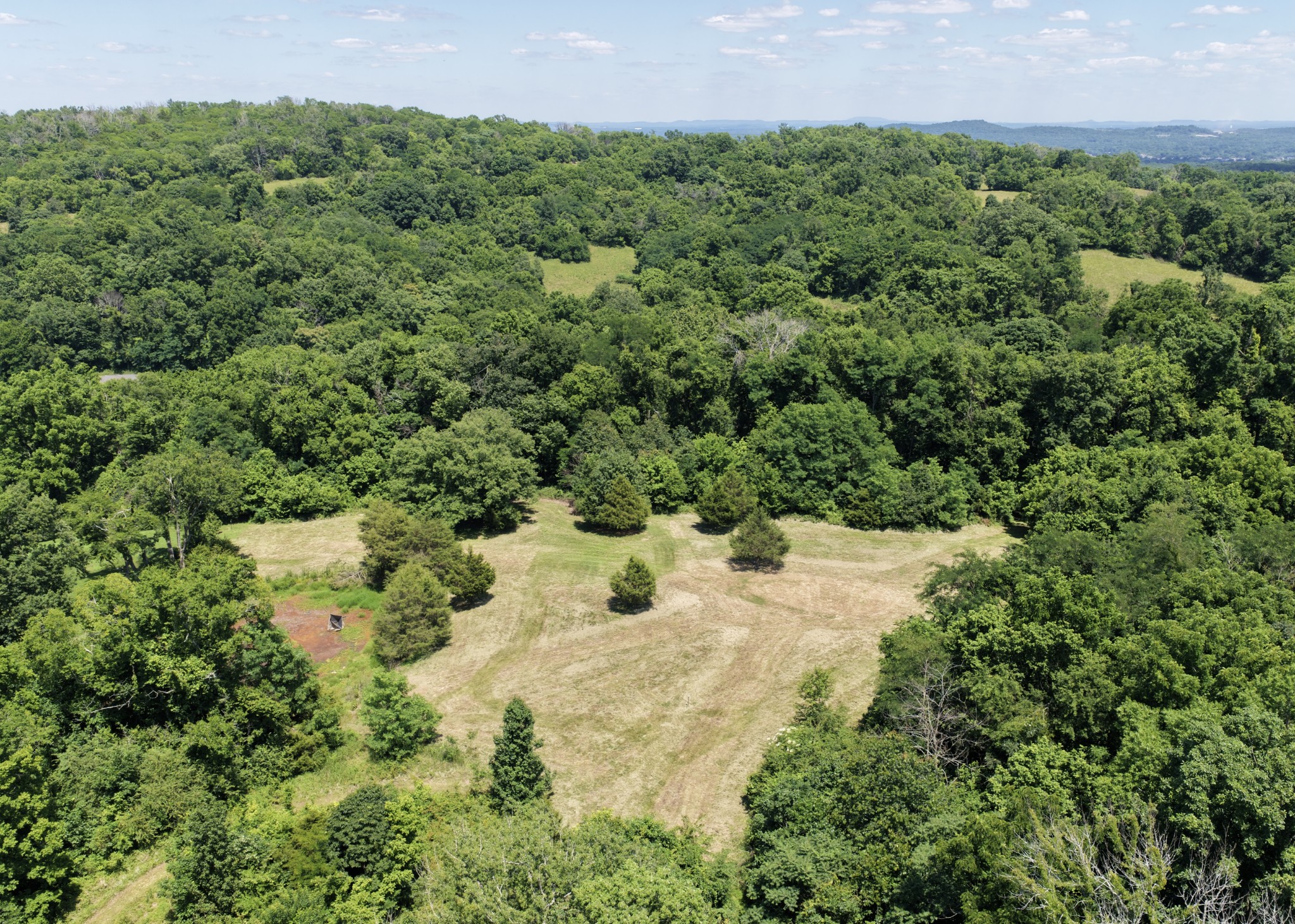 130 Hidden Valley Road Arrington, TN 37014 - Photo 3 of 13 Gallery Image 3