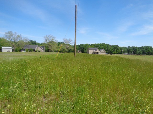 6.57 National Road Dothan, AL 36301 - Photo 4 of 9