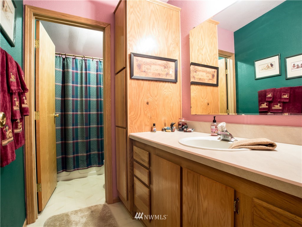 8941 Heady Road Maple Falls, WA 98266 - Photo 31 of 40 a en suite bathroom with a sink a mirror and a shower