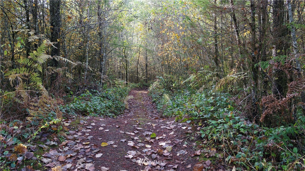 8941 Heady Road Maple Falls, WA 98266 - Photo 35 of 40 a backyard of a house with lots of green space