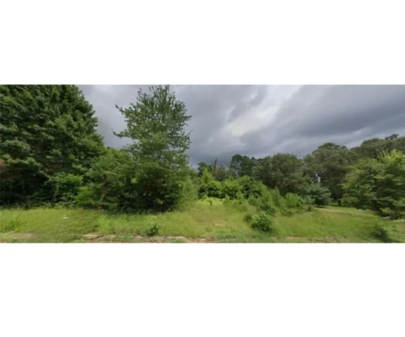 a black and white photo of a park